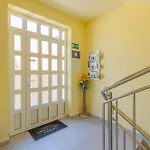 Quarnero *
